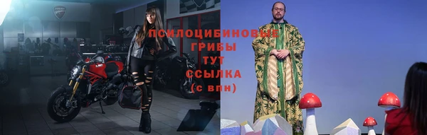 стаф Карпинск