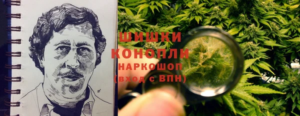 стаф Карпинск