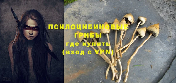 стаф Карпинск